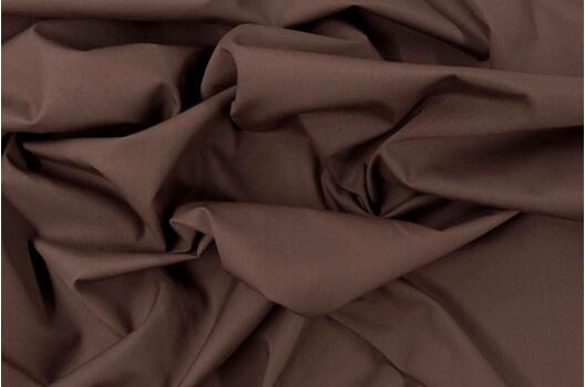 Тиси сорочечная, кофе